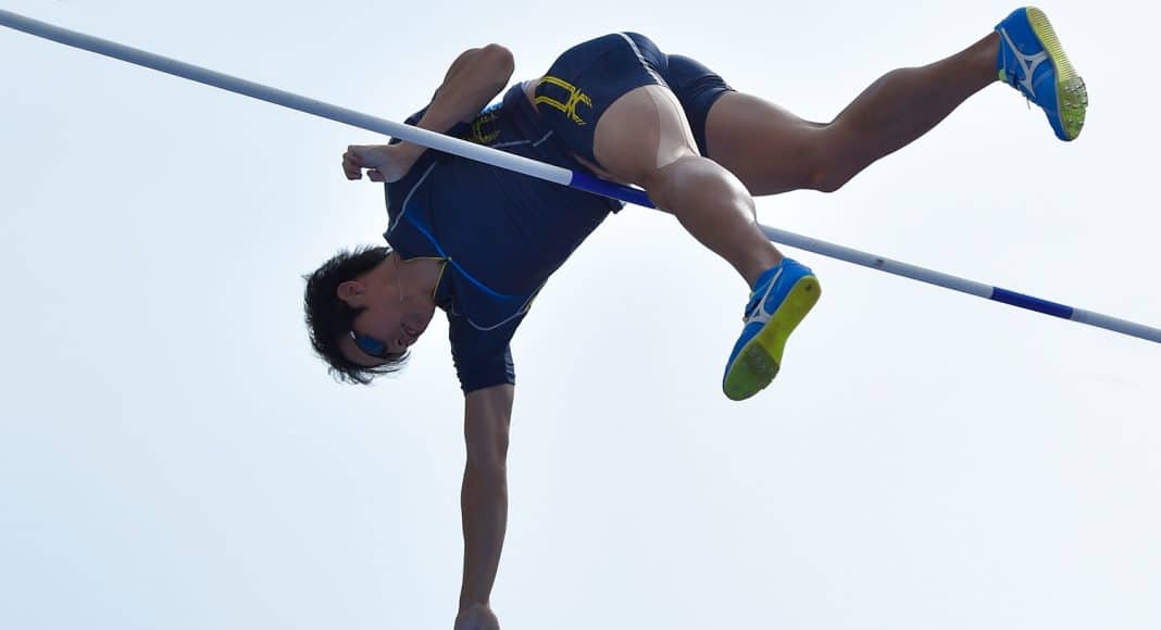 penis pole vaulting