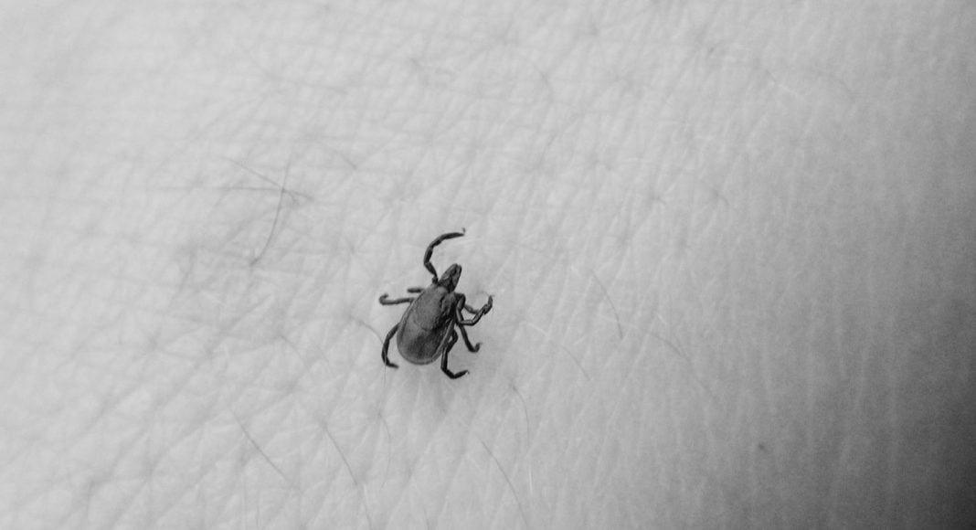 Lyme disease