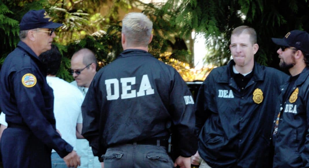 everything you need to know about the deas refusal to declassify marijuana