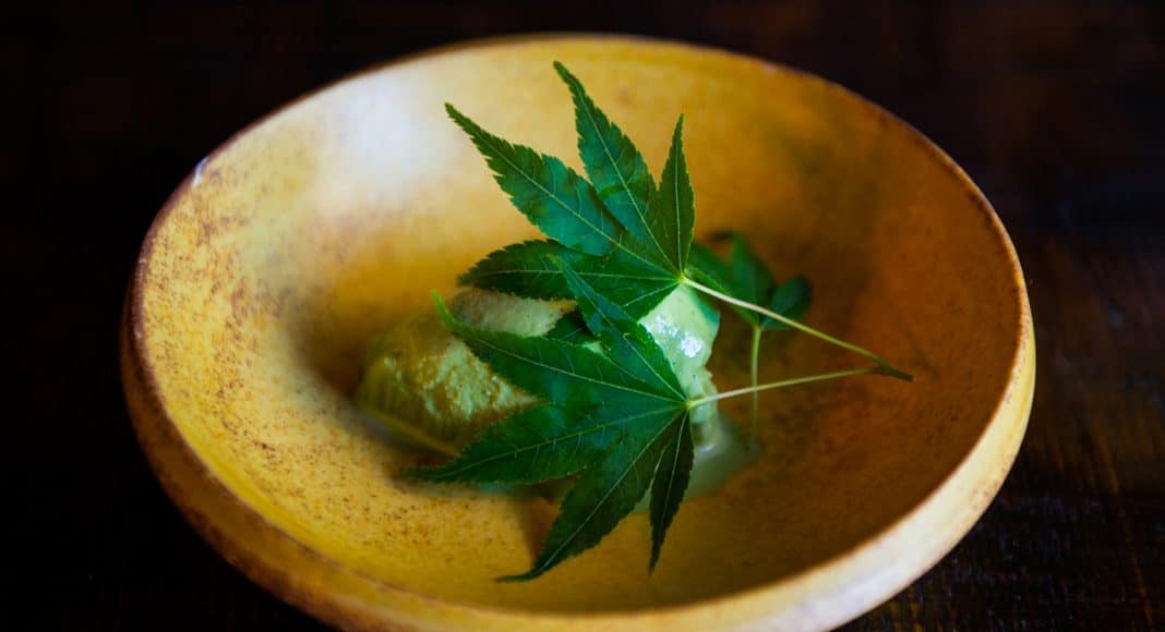 Marijuana-Smoked Gelato