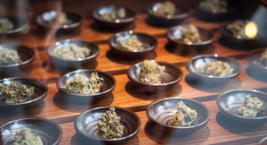 Should You Tip Your Budtender