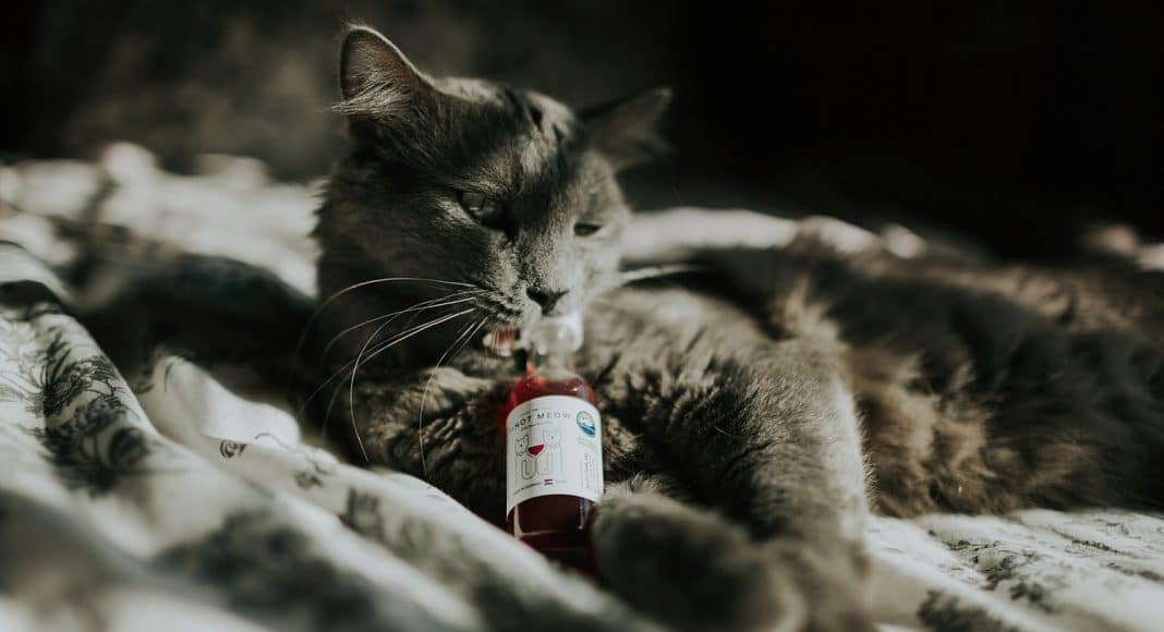 Pinot Meow