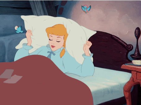 GIF via Giphy