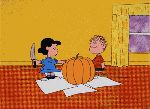 GIF via Giphy