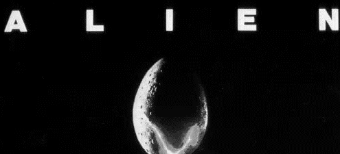 GIF via Giphy