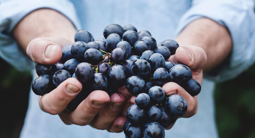 National Food holidays