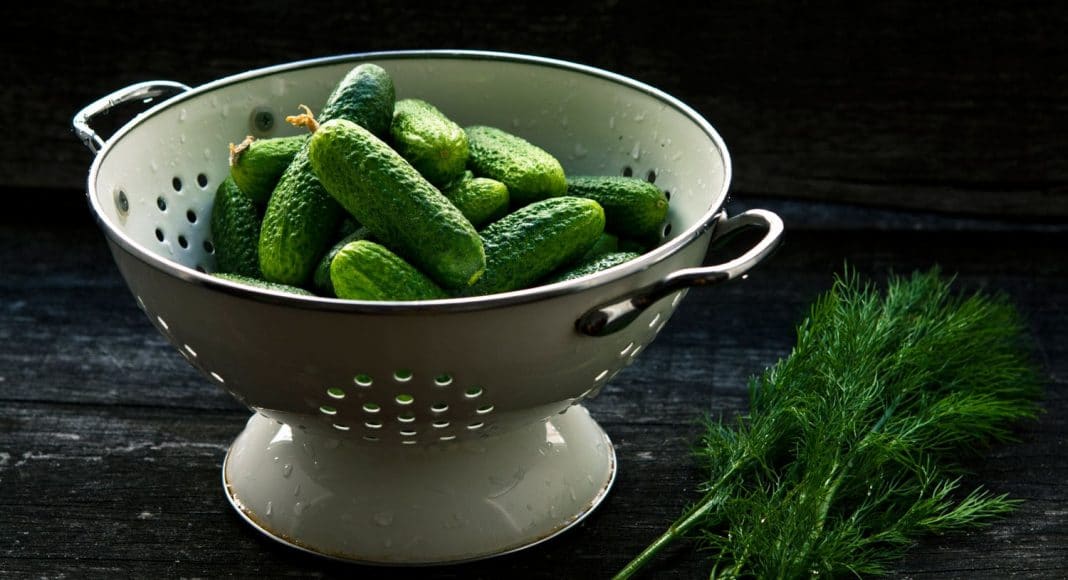 Pickles are having a moment