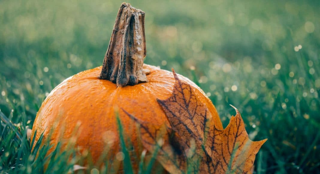 Pumpkin Spice
