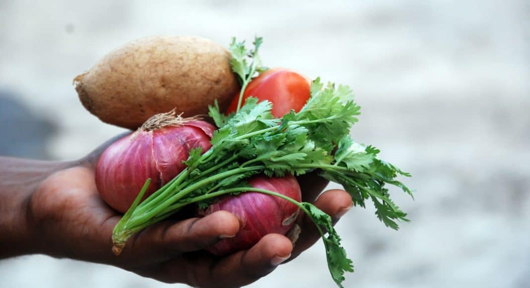 marijuana csa