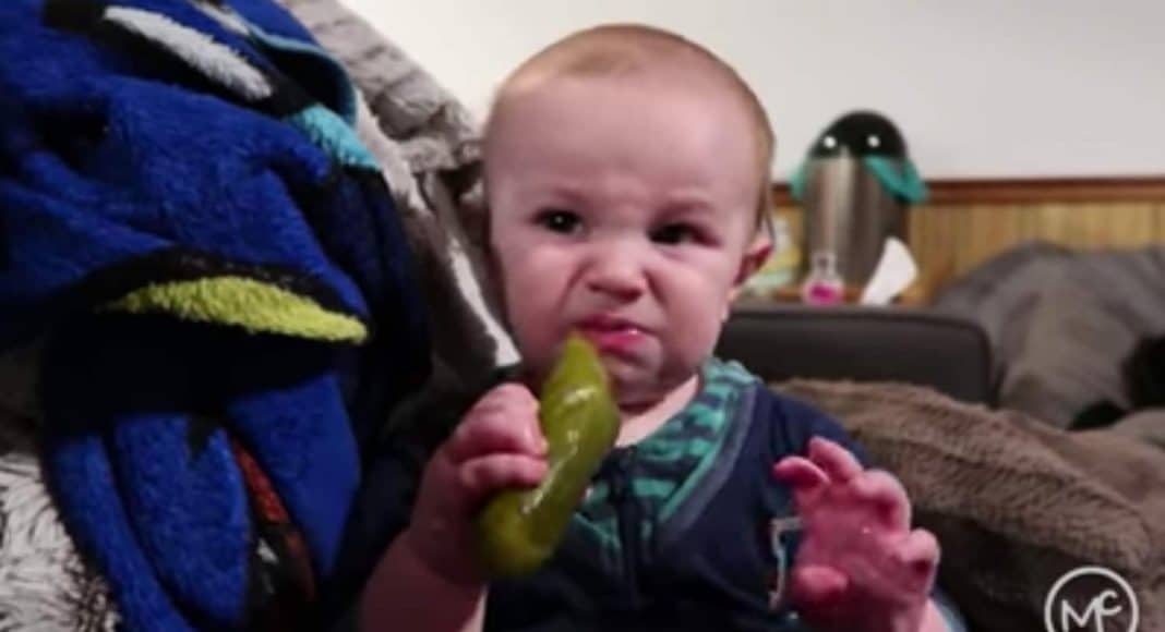 pickle