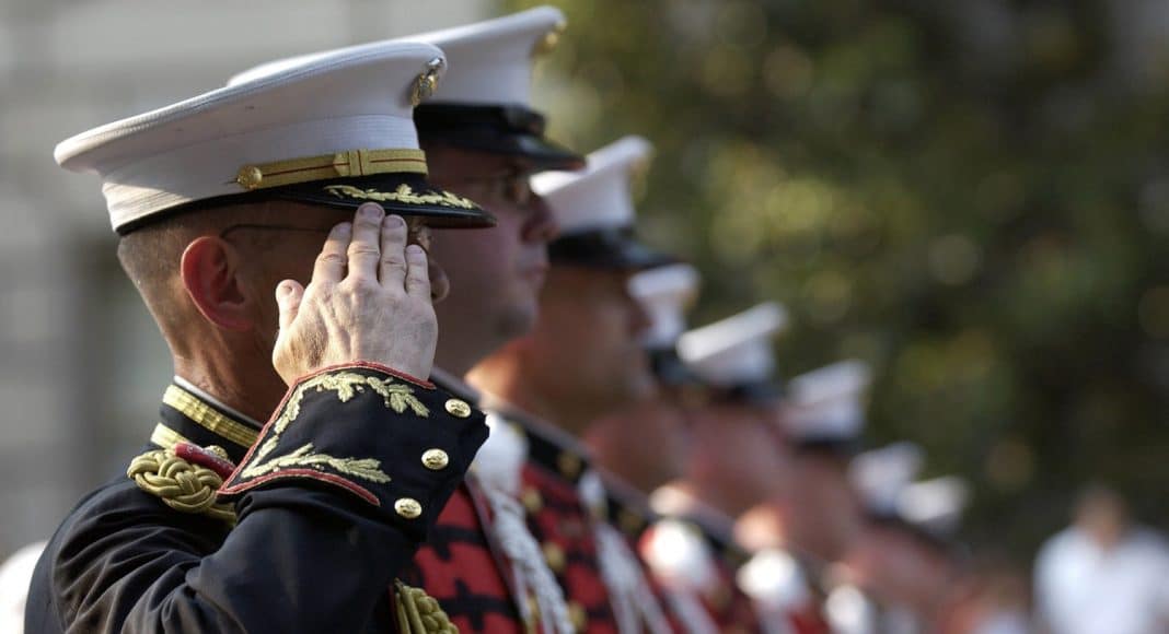 New York Vets