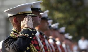 New York Vets