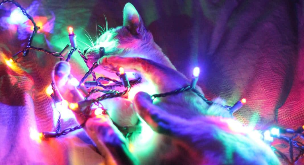 Christmas tree