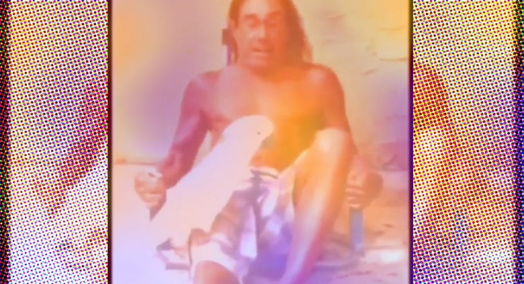 Iggy Pop