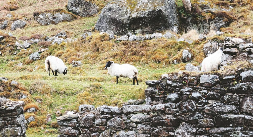 Ireland