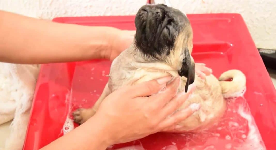 Warm Baths