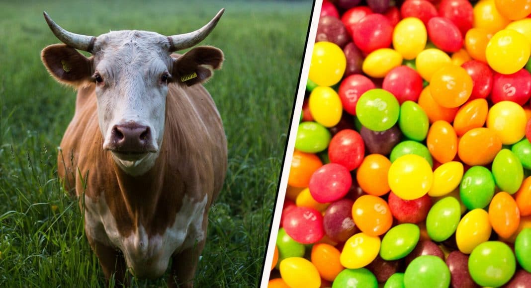 Skittles