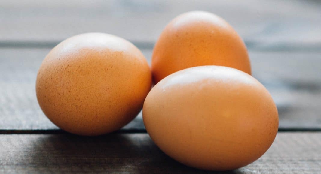 egg, cheese