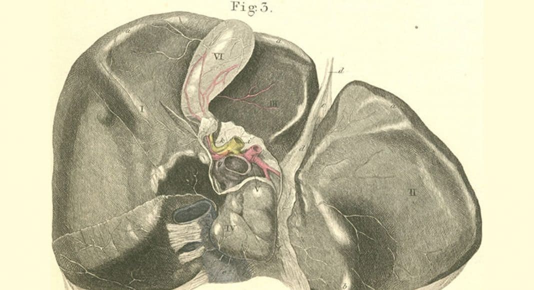 Liver disease