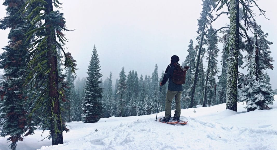 winter activities