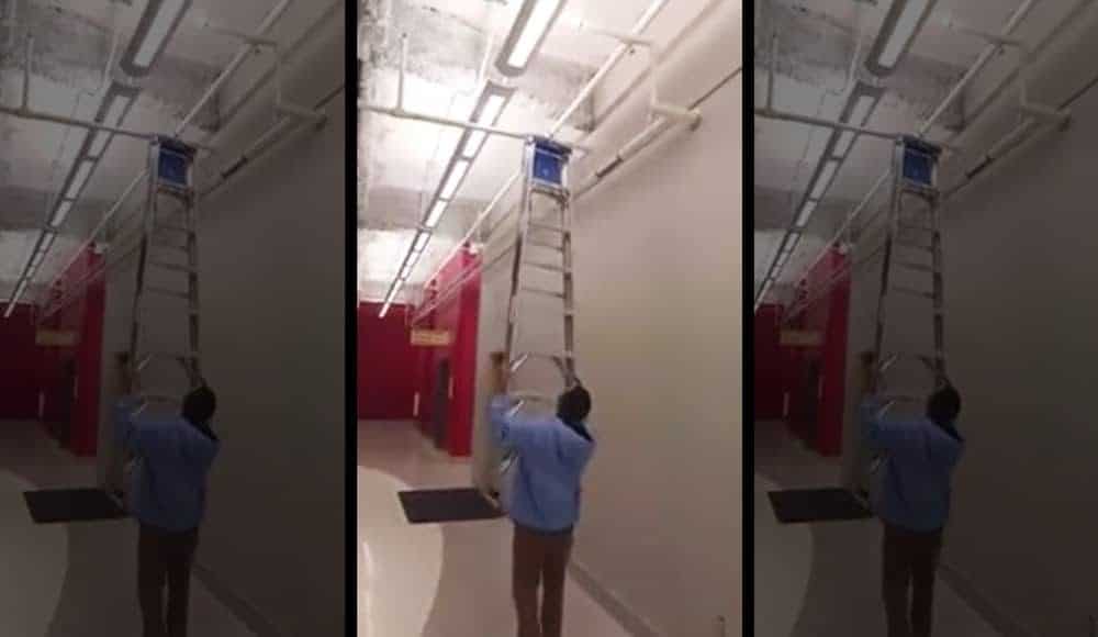 ladder