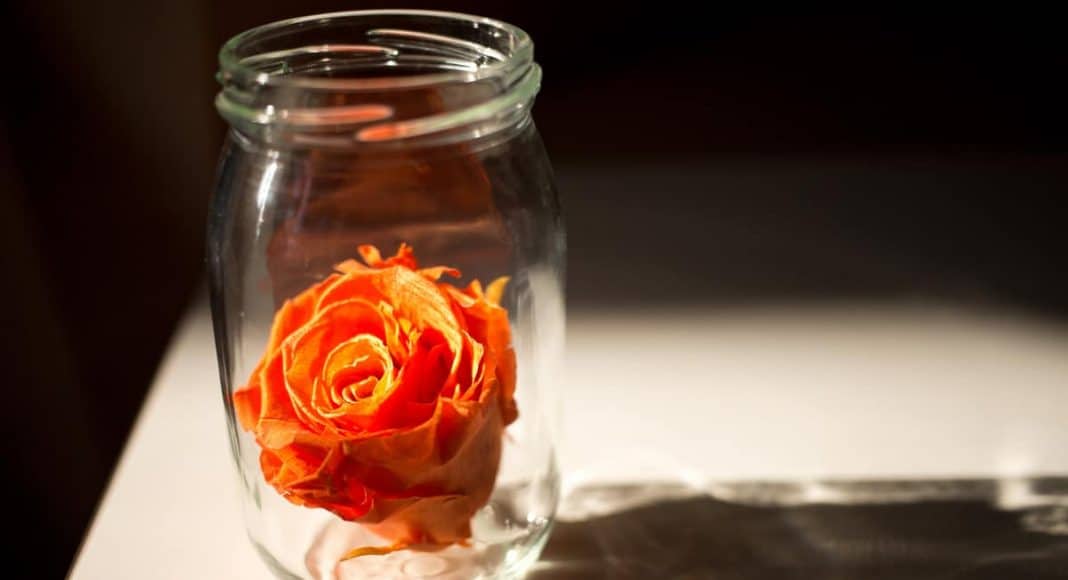 marijuana-infused beauty water