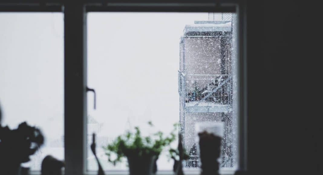 snow sex