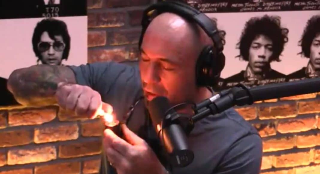 Joe Rogan, mmj, Joe Rogan drunk, Joe Rogan marijuana