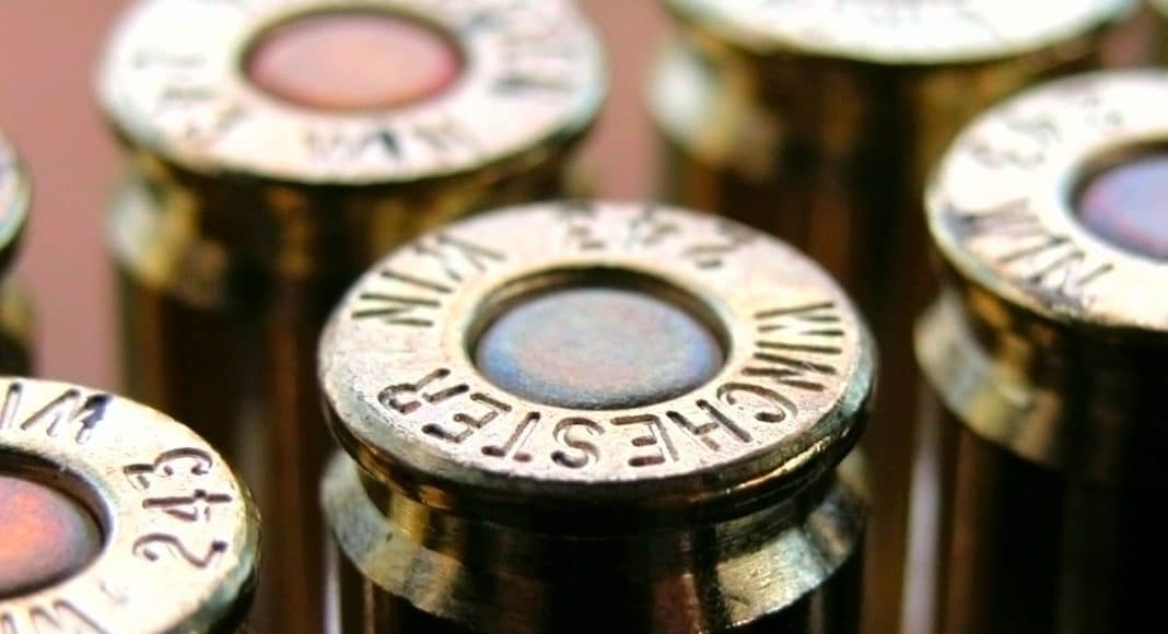 bullet