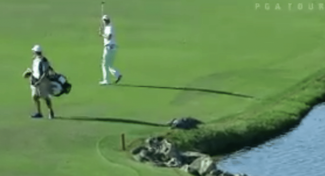 pro golfer