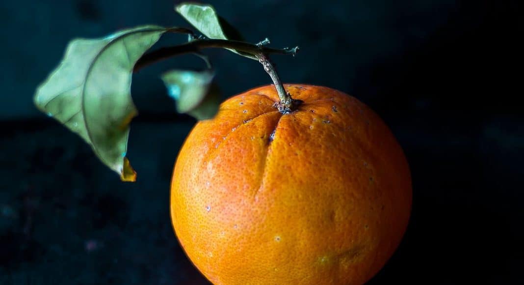 this is real people getting woke by eating oranges in the shower