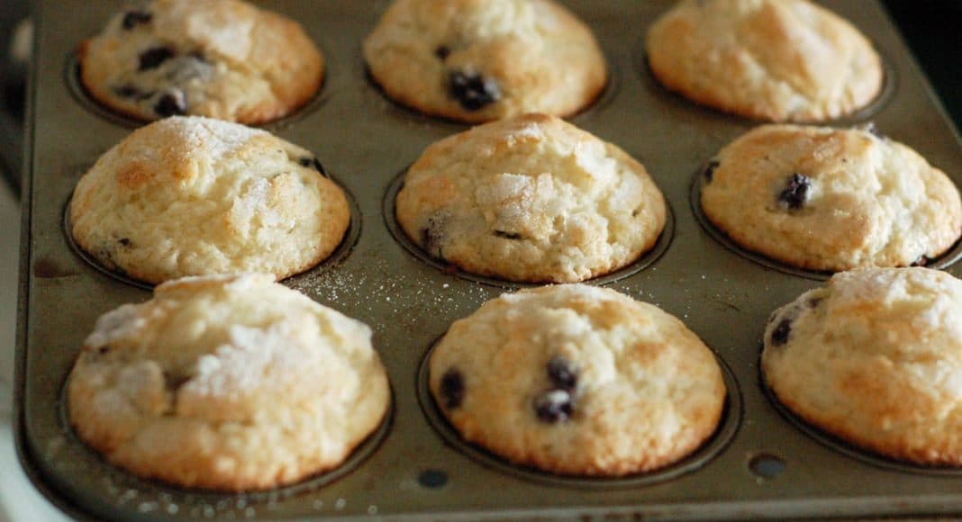 muffin tin