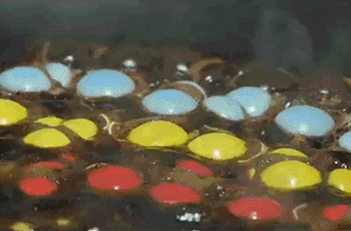 candy melting