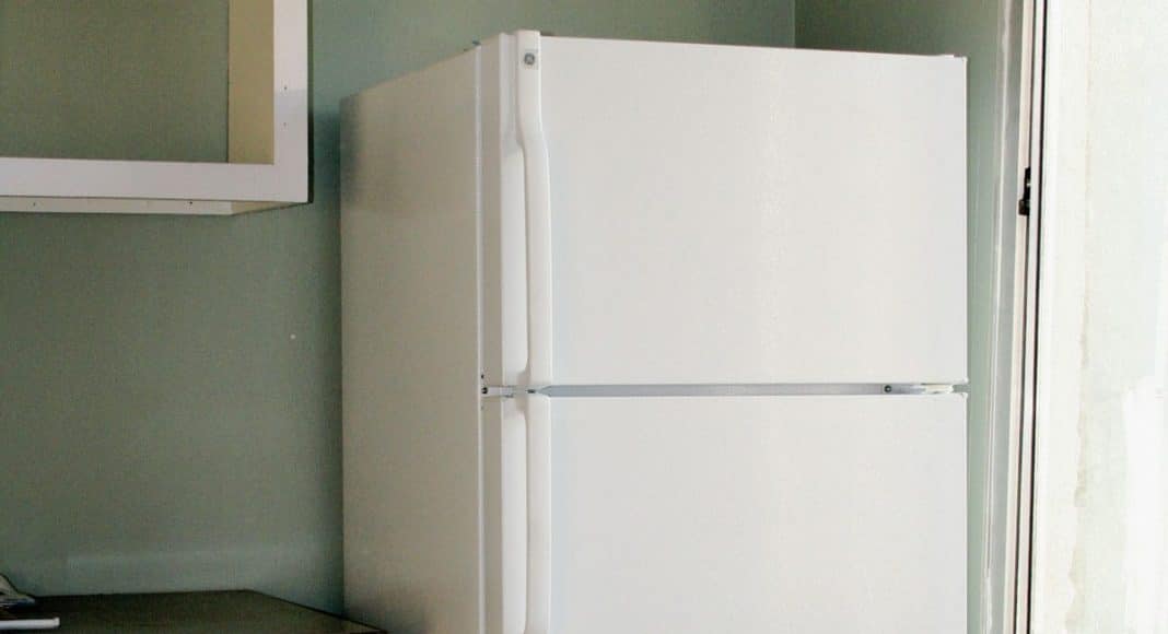 heroic woman busted for allegedly raiding drakes fridge