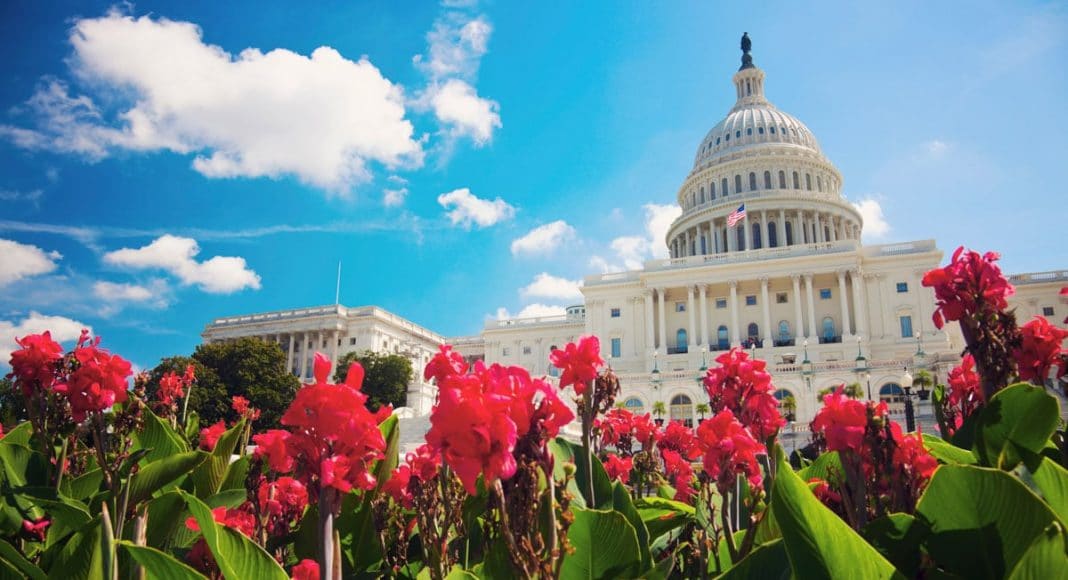 marijuana legislative roundup