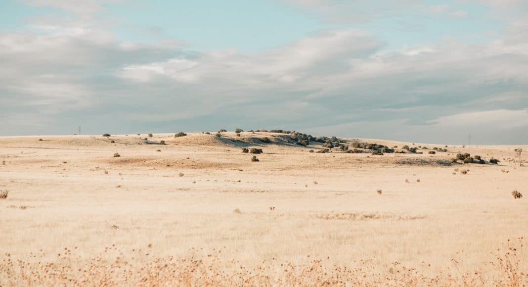 New Mexico