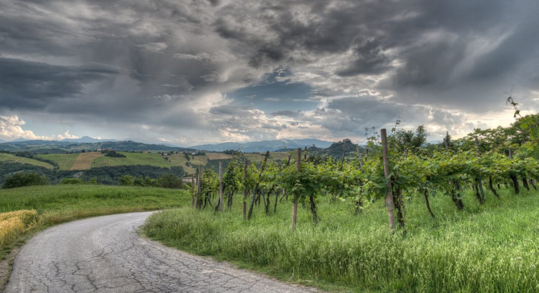 Wine Regions