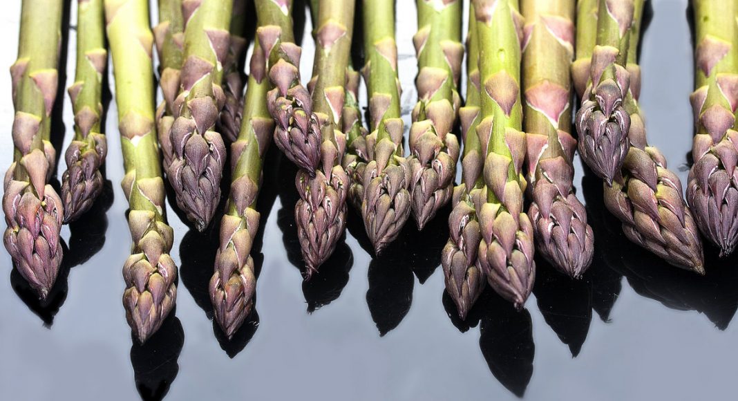 Asparagus