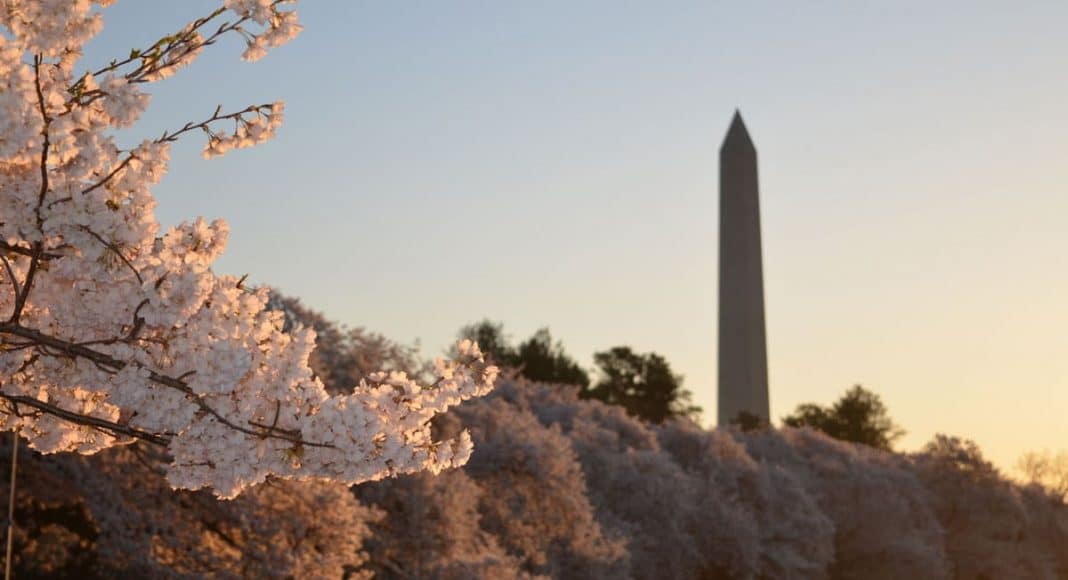 marijuana legislative roundup