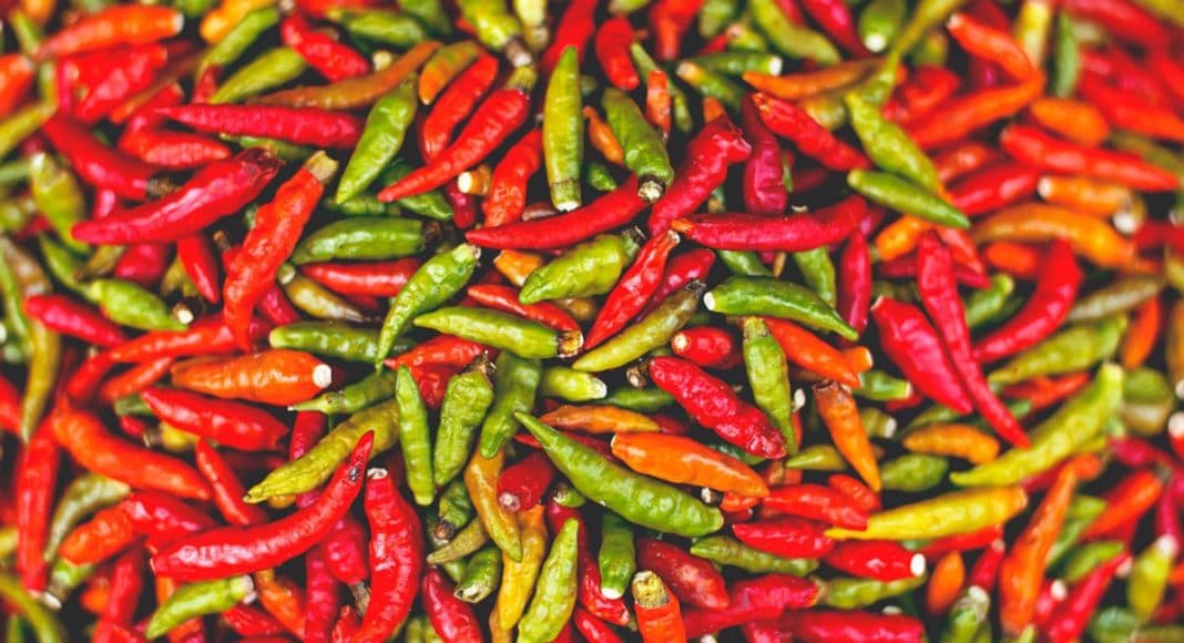 Hot Peppers And Marijuana