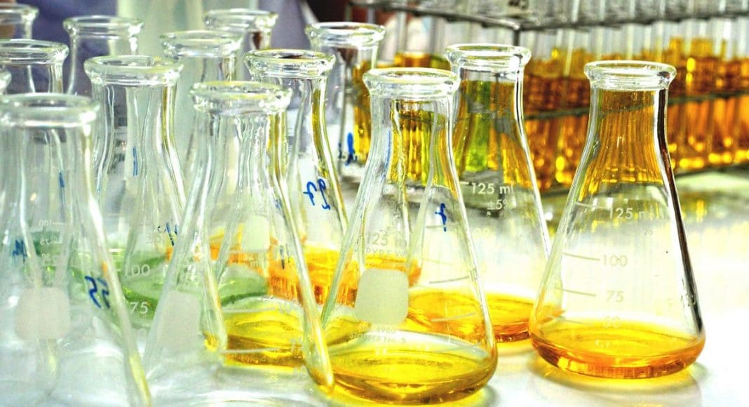 Endocannabinoid System