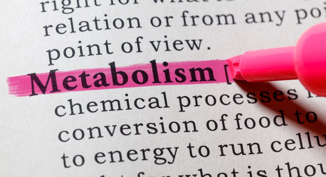 Speed Up Your Metabolism