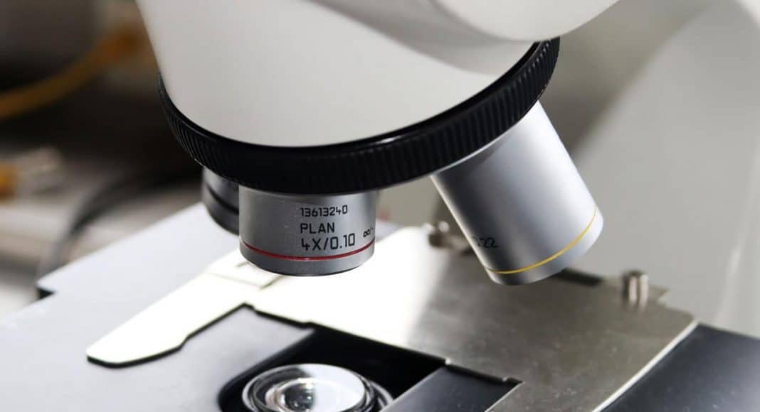 Cannabis testing