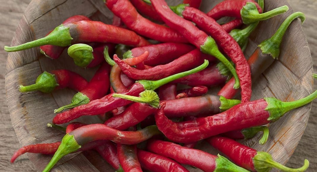 Chili Vodka