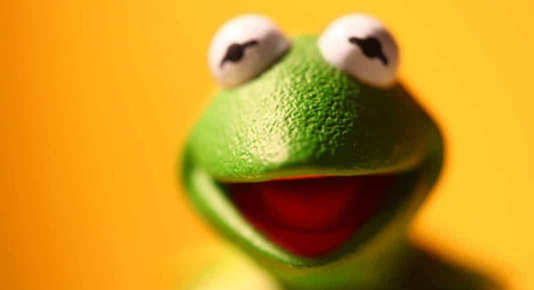 Kermit The Frog