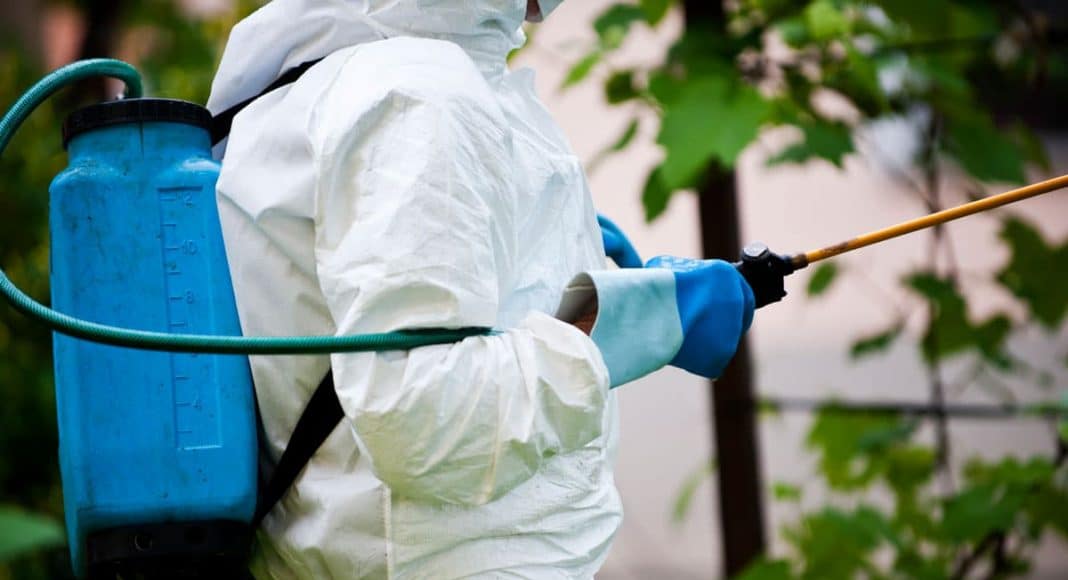 Marijuana Recall Pesticides In Concentrates