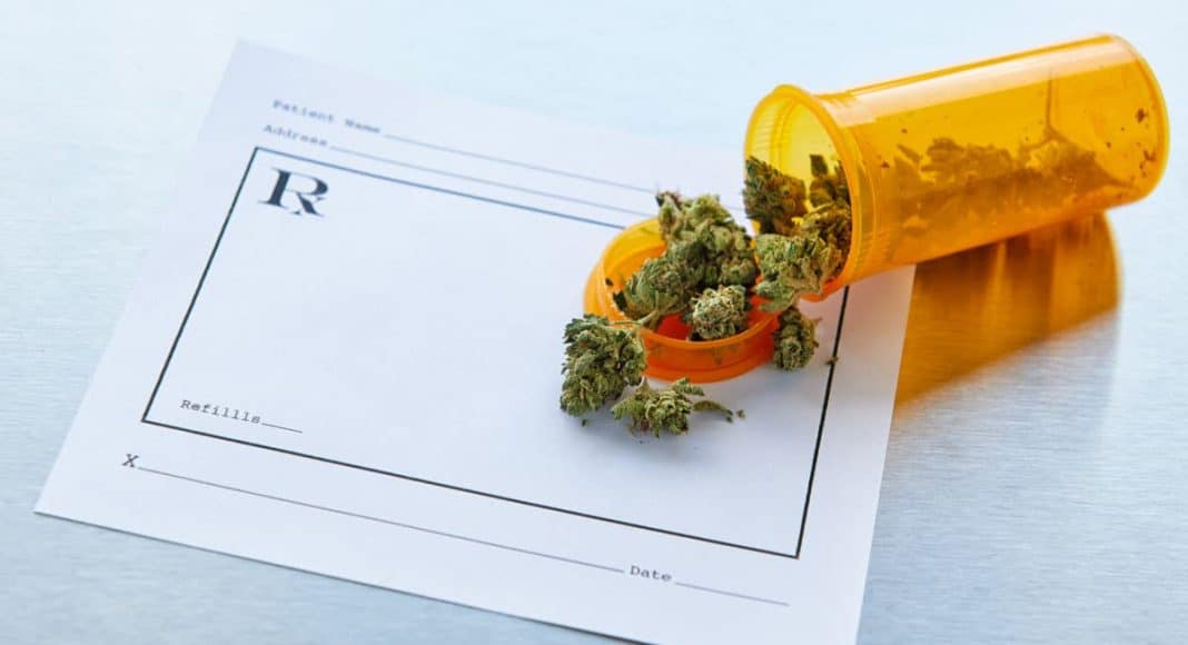 cannabis refugees