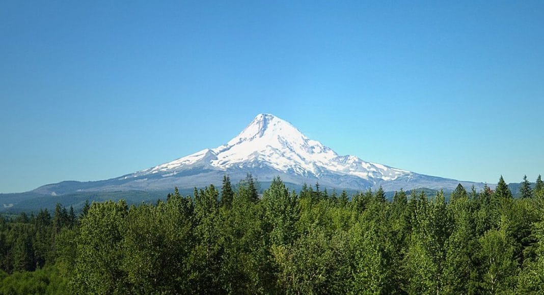 The Best Pro Tips For Consming Outdoors