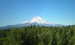 The Best Pro Tips For Consming Outdoors