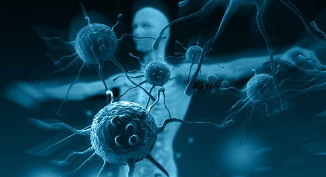 Immune System